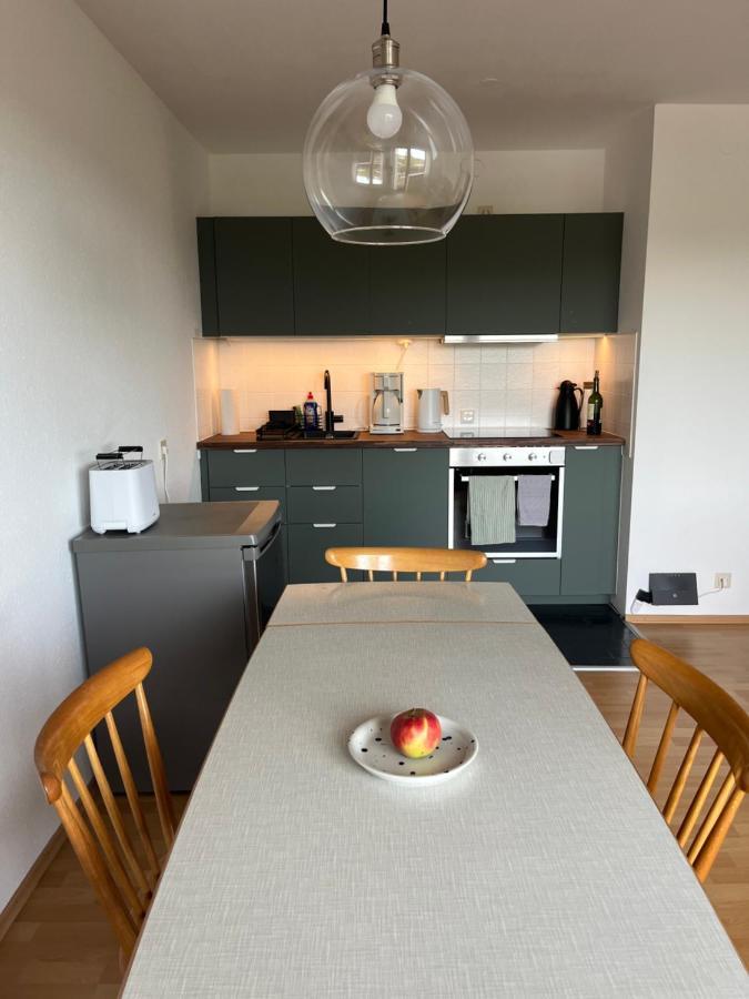 Helle Wohnung Mit Grossem Balkon Oberreute Buitenkant foto