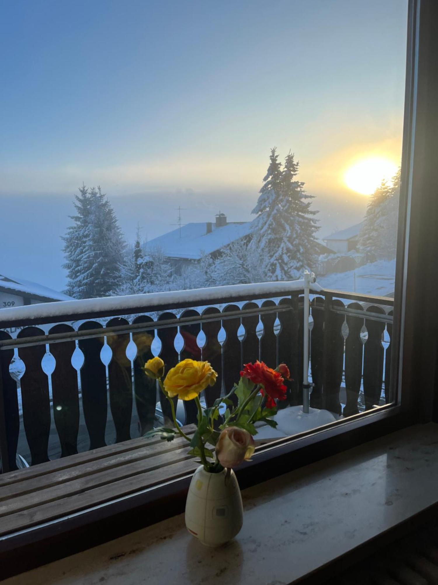 Helle Wohnung Mit Grossem Balkon Oberreute Buitenkant foto
